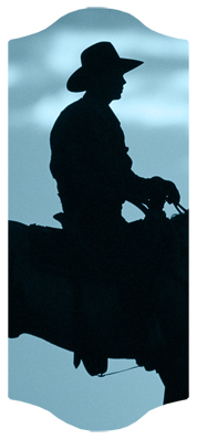 DARAY C 360 BL Cowboy Blue